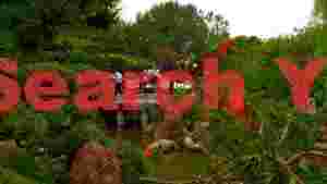 At Home serene stroll through a verdant garden
