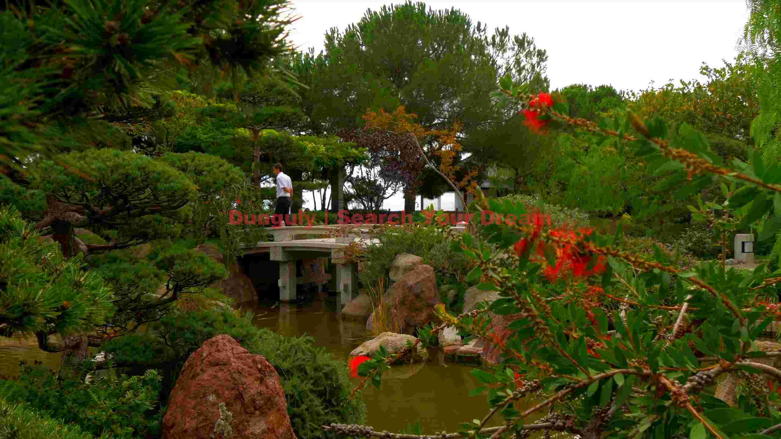 serene stroll through a verdant garden serene stroll through a verdant garden