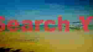 serene tropical beach with traditional outrigger boats