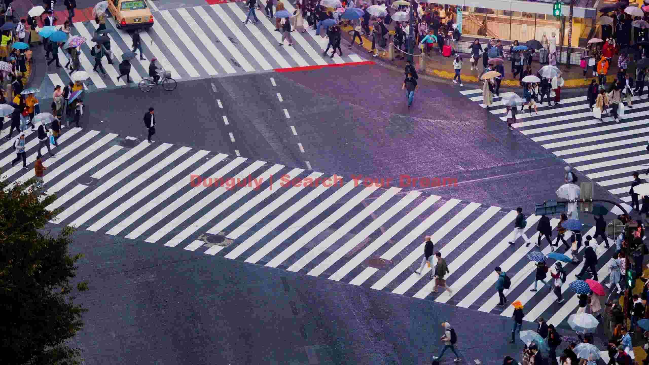 shibuya crossing urban flow at dusk shibuya crossing urban flow at dusk