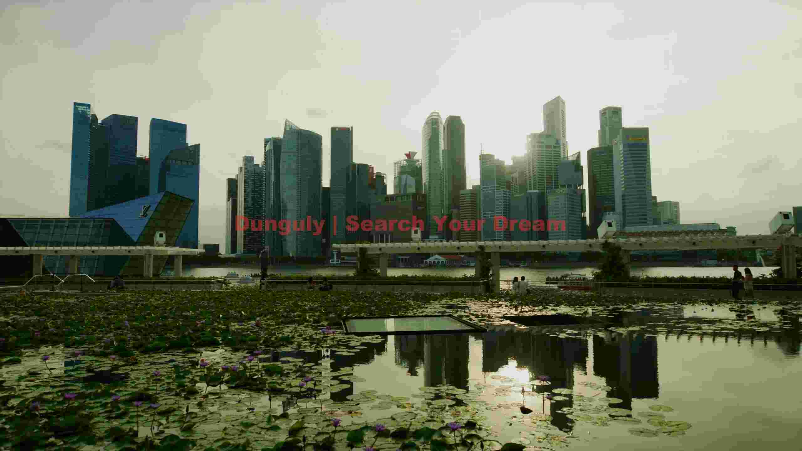 singapore skyline and lotus pond reflection singapore skyline and lotus pond reflection