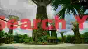 At Home singapores iconic supertree grove