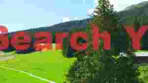 At Home sun drenched alpine forest and meadow