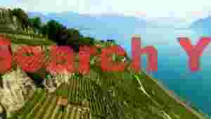 At Home terraced lavaux vineyards overlooking lake geneva