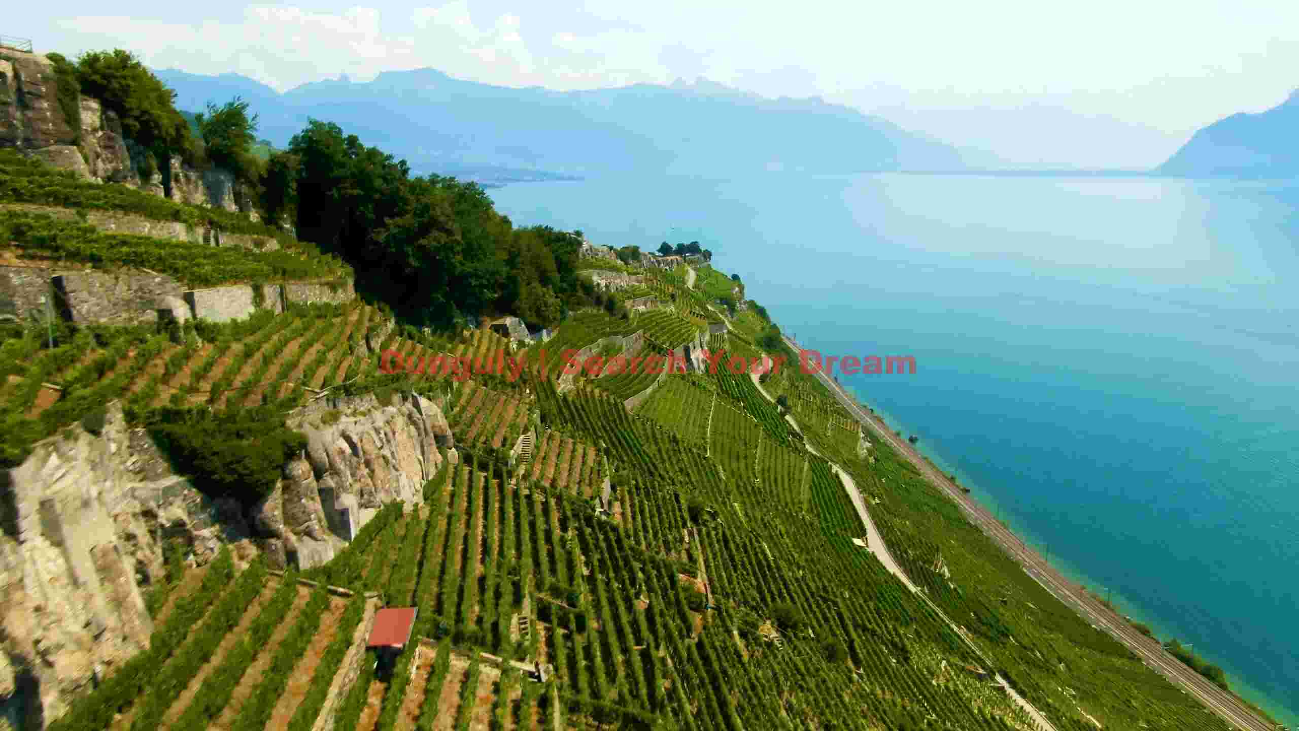 terraced lavaux vineyards overlooking lake geneva terraced lavaux vineyards overlooking lake geneva