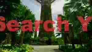 At Home tropical supertree garden landscape