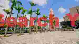 tsim sha tsui clock tower and palm trees in hong kong