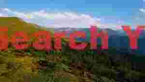 verdant mountainous landscape with pine forests