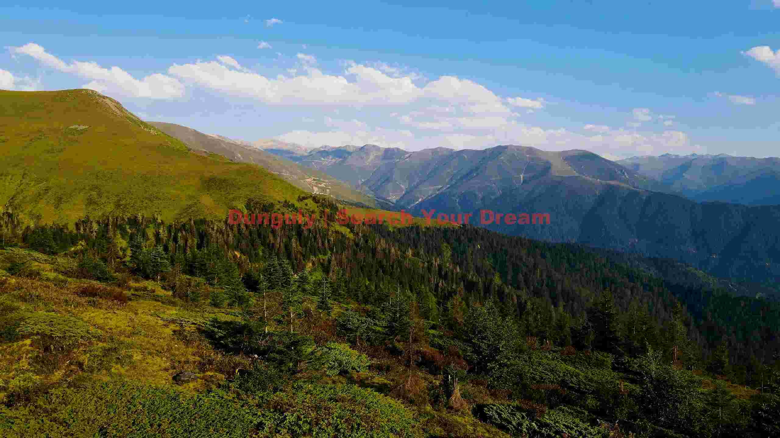 verdant mountainous landscape with pine forests verdant mountainous landscape with pine forests