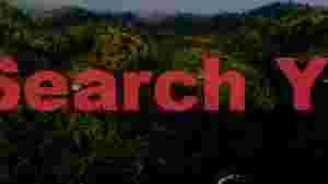 verdant rice terraces and tropical forests