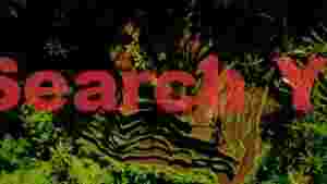 verdant terraced rice fields aerial landscape