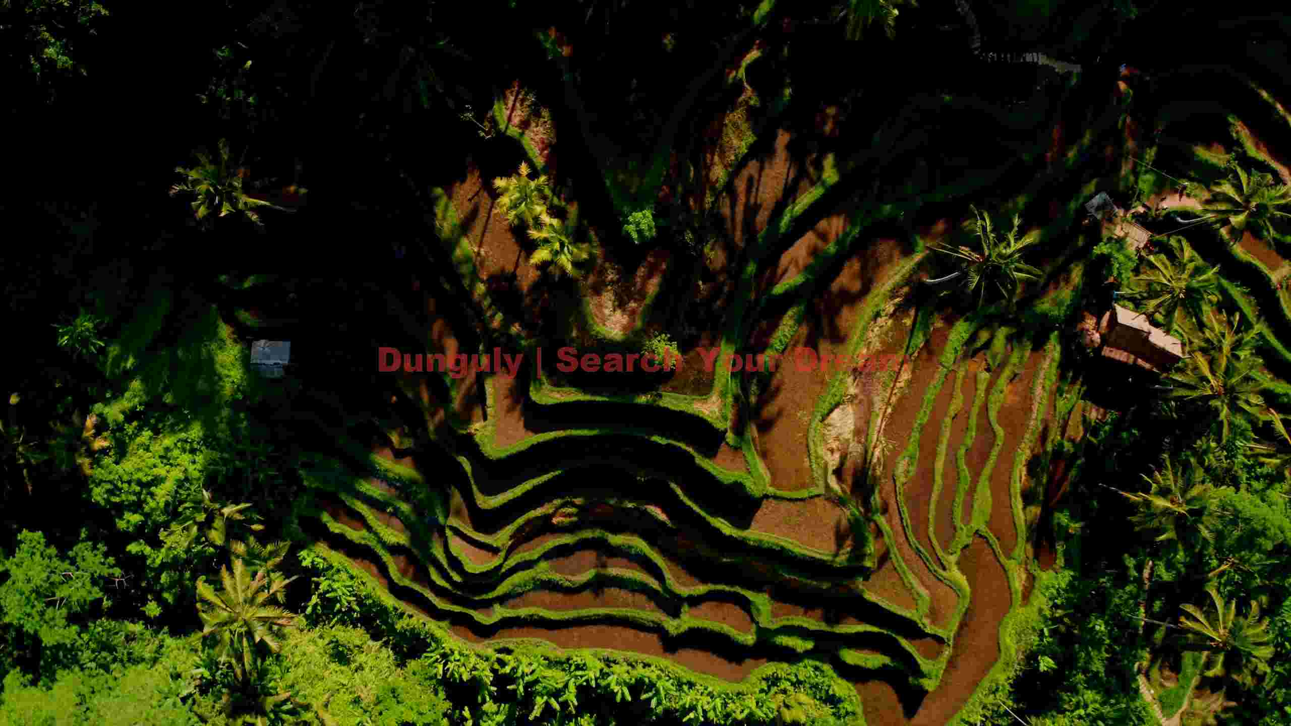 verdant terraced rice fields aerial landscape verdant terraced rice fields aerial landscape