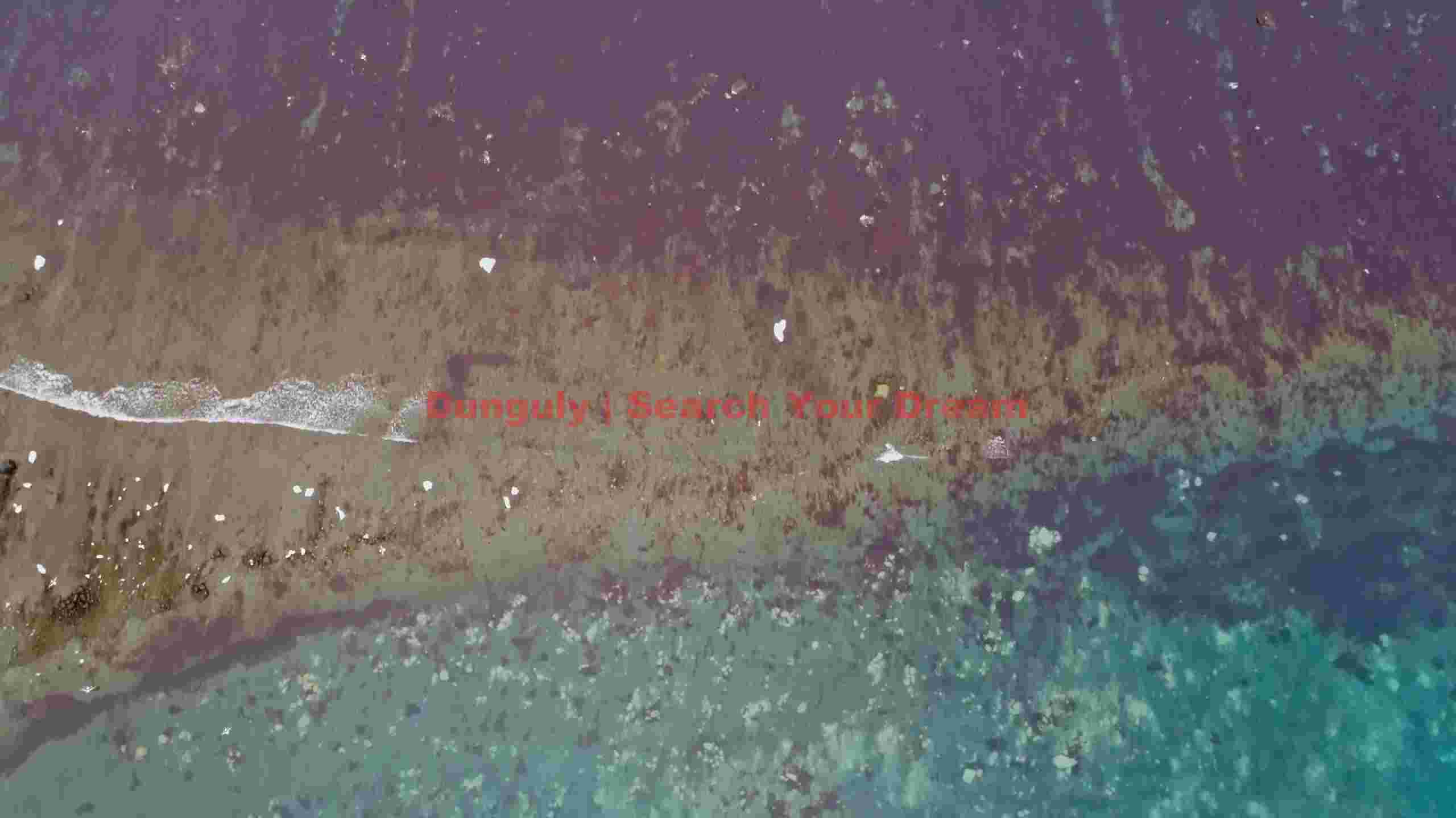 vibrant aerial ocean view with graceful stingray vibrant aerial ocean view with graceful stingray