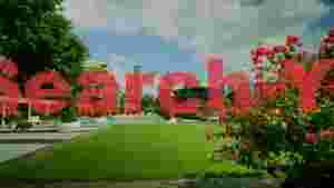 vibrant city park landscape with bougainvillea