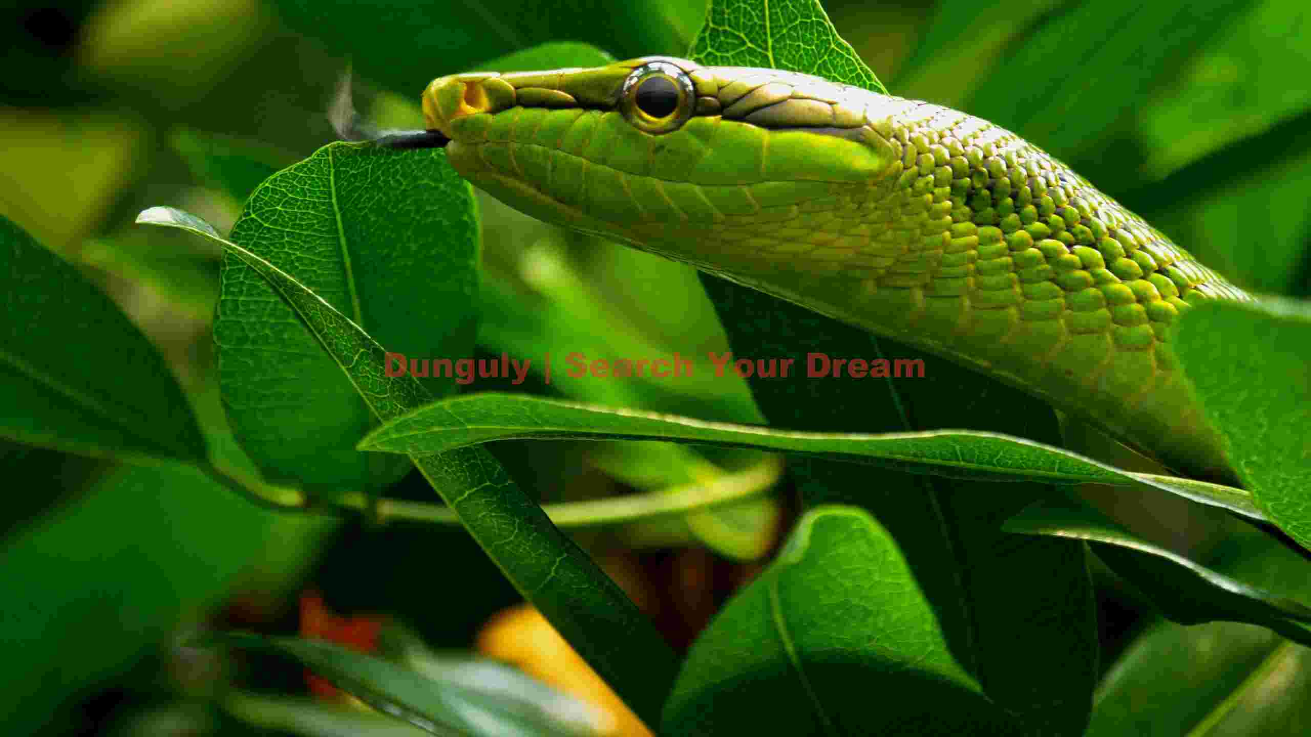 vibrant green snake in leafy habitat vibrant green snake in leafy habitat