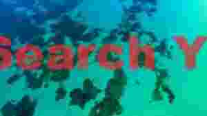 vibrant tropical reefs aerial ocean panorama