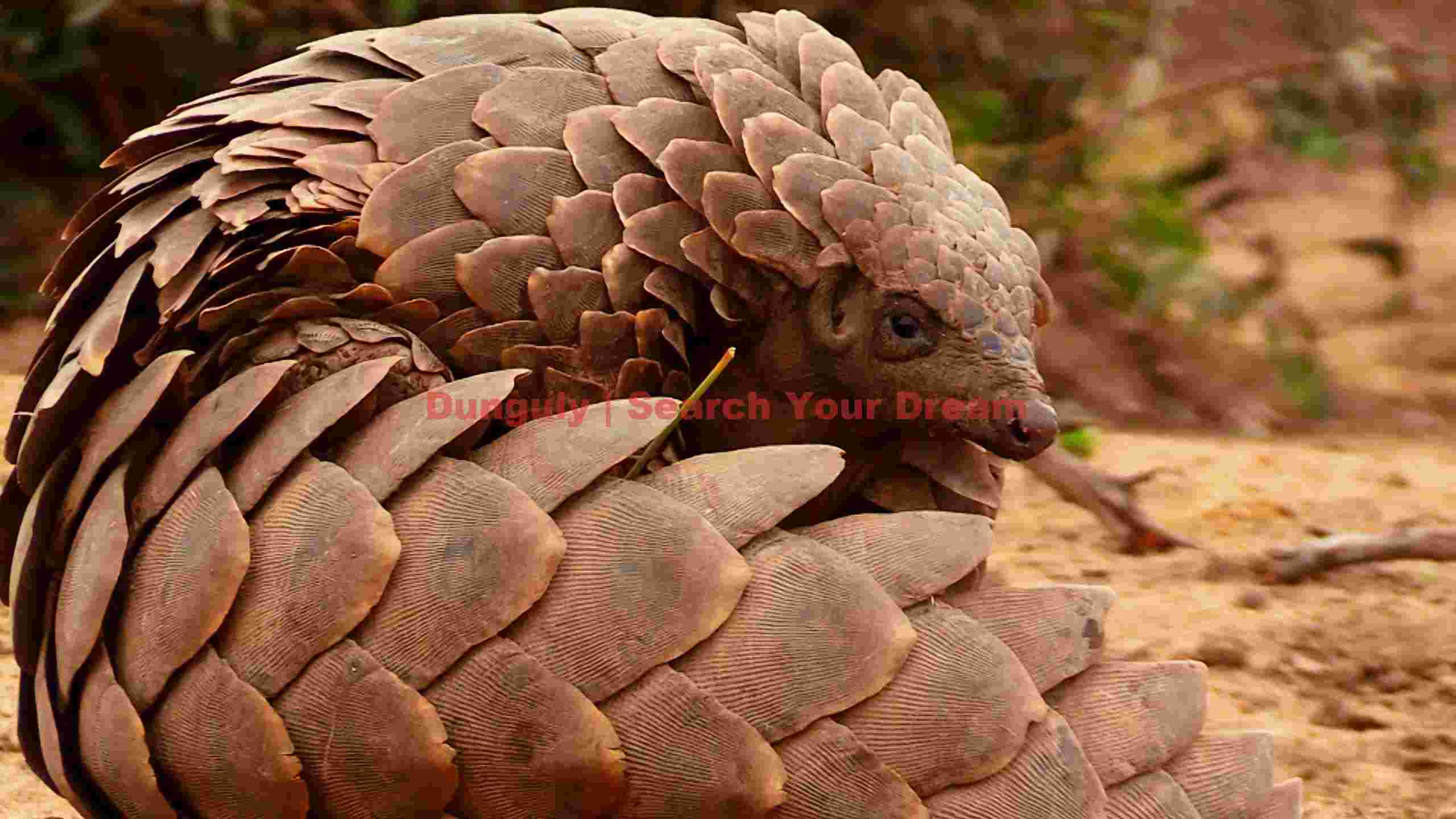 vigilant pangolins scaly embrace vigilant pangolins scaly embrace