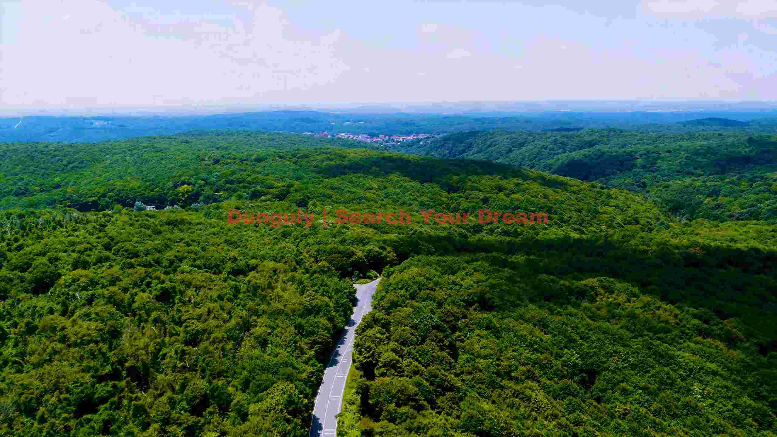 winding road through lush green forest winding road through lush green forest