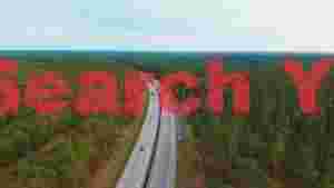 At Home aerial view of a serene highway through lush pine forests