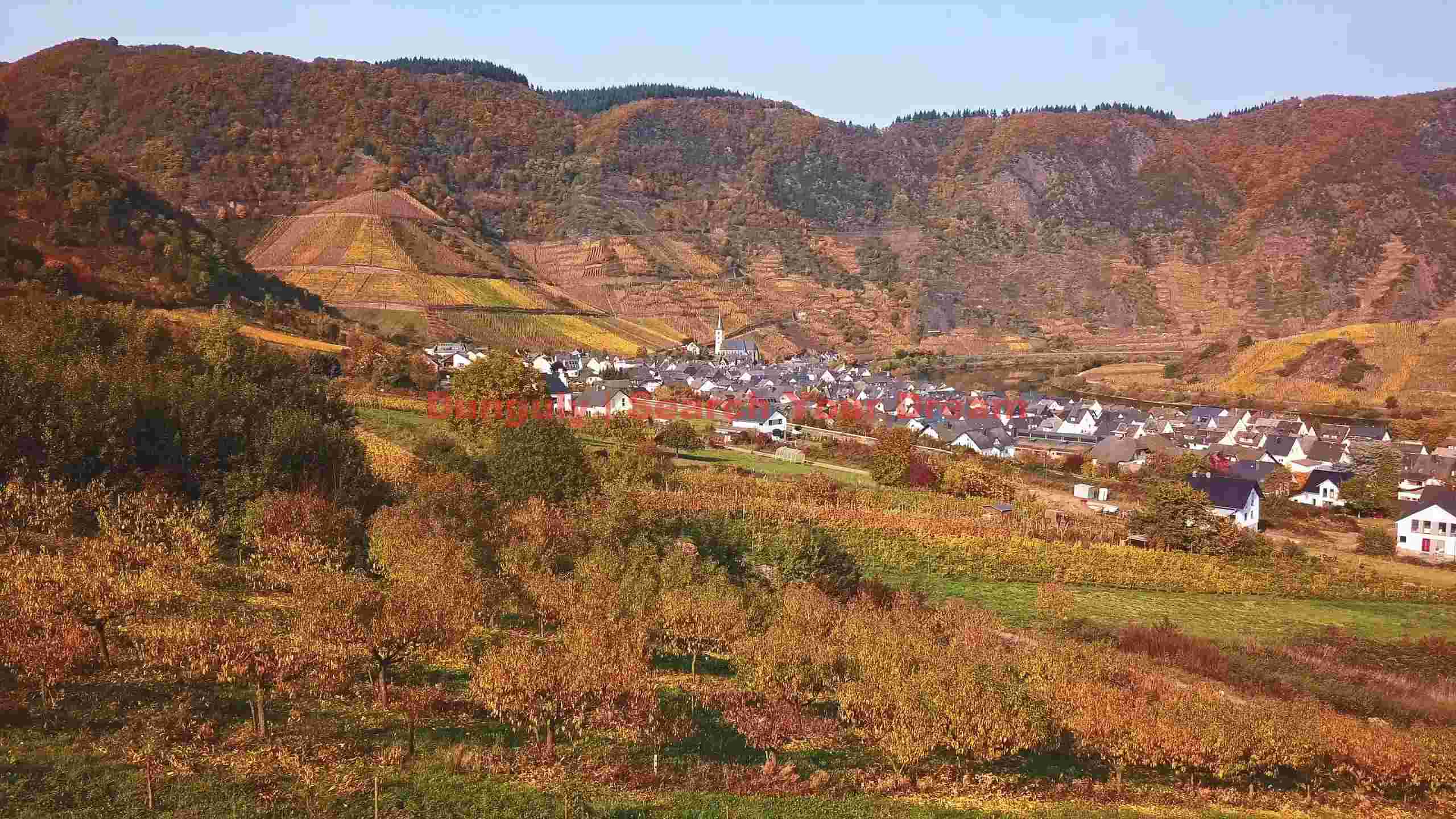 autumn splendor in the vine clad valley autumn splendor in the vine clad valley