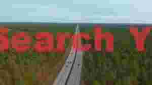 endless highway through verdant pine forest