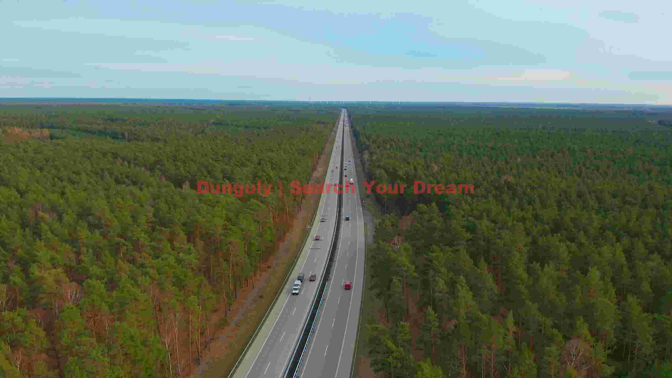 endless highway through verdant pine forest endless highway through verdant pine forest
