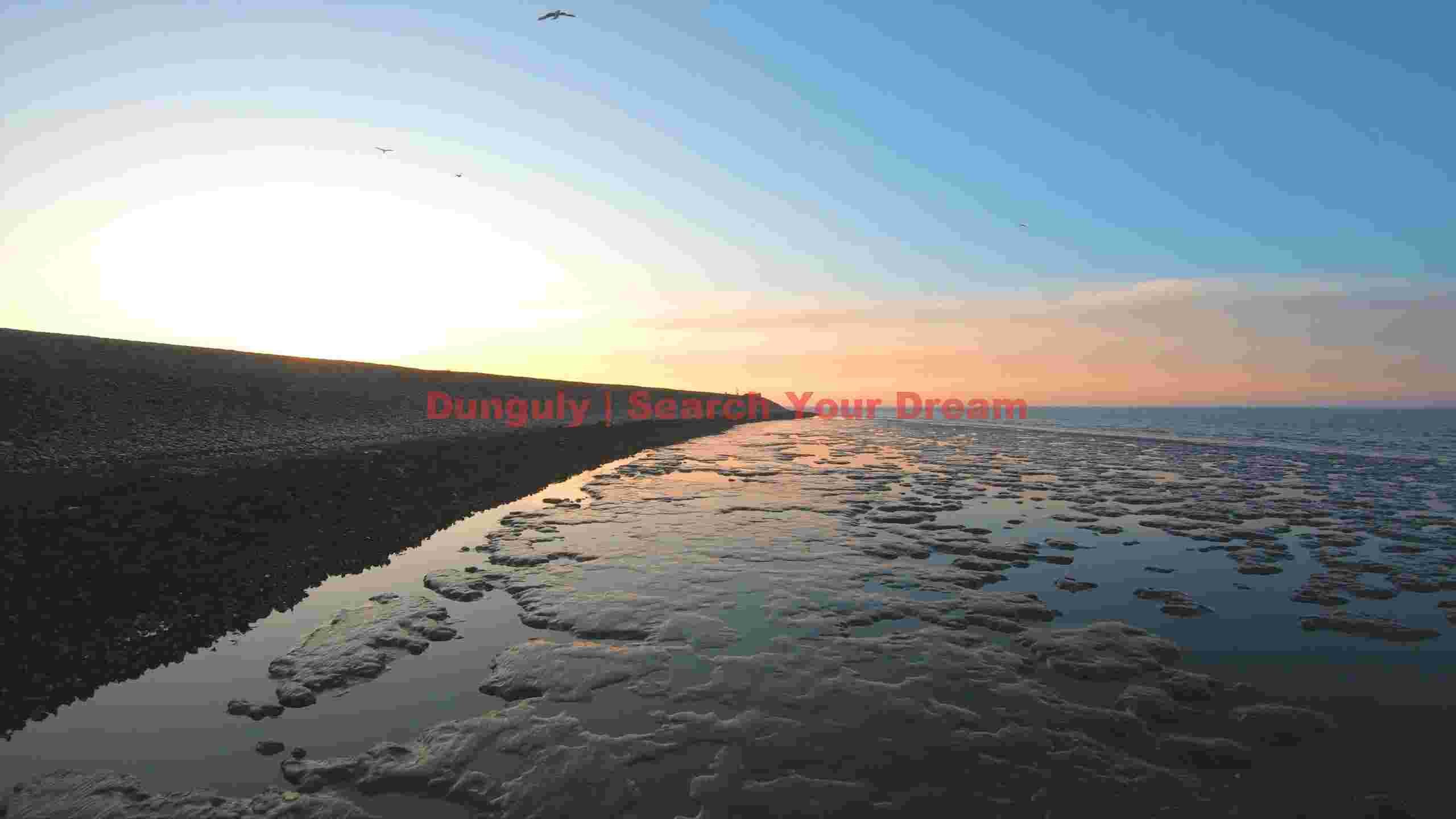 golden hour tidal flat sunset golden hour tidal flat sunset