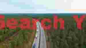 At Home highway through pine forest