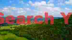 At Home vibrant summer landscape with village