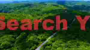 At Home winding road through lush green forest aerial view