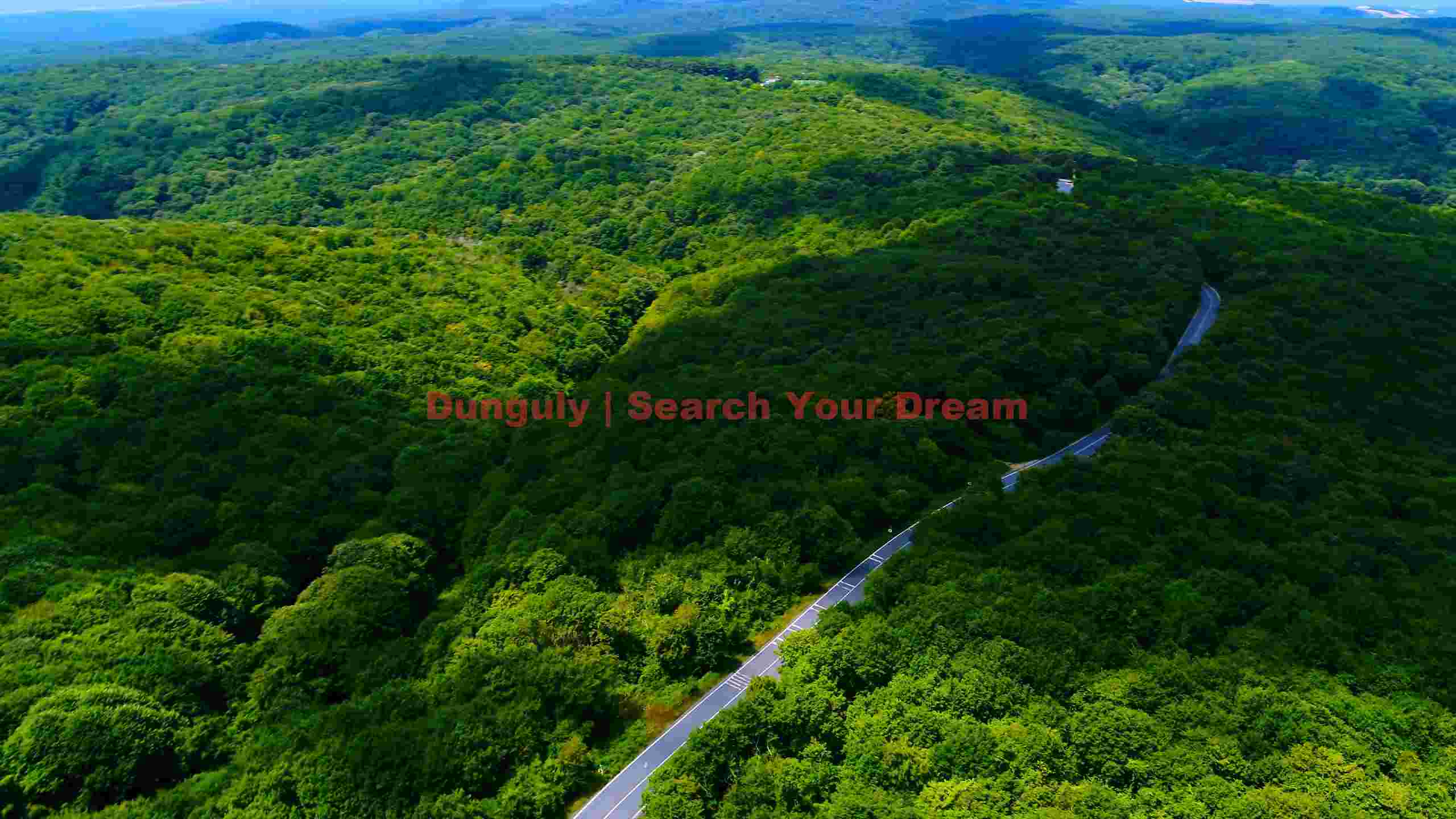 winding road through lush green forest aerial view winding road through lush green forest aerial view